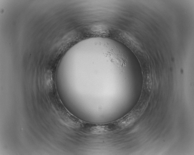 X0000067950320200604201438