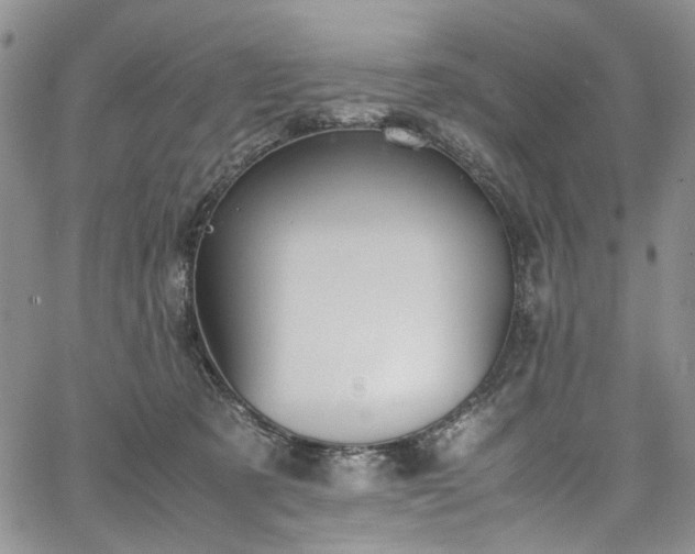 X0000067950321200604201438