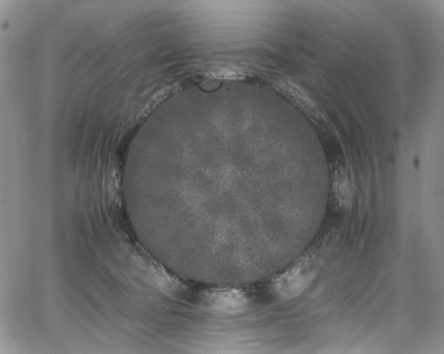 X0000067950322200604201438