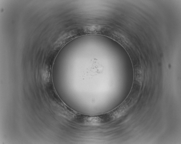 X0000067950324200604201437