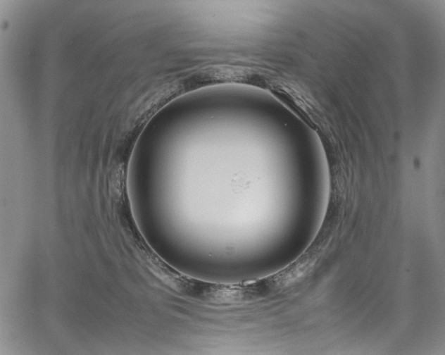 X0000067950325200604201437