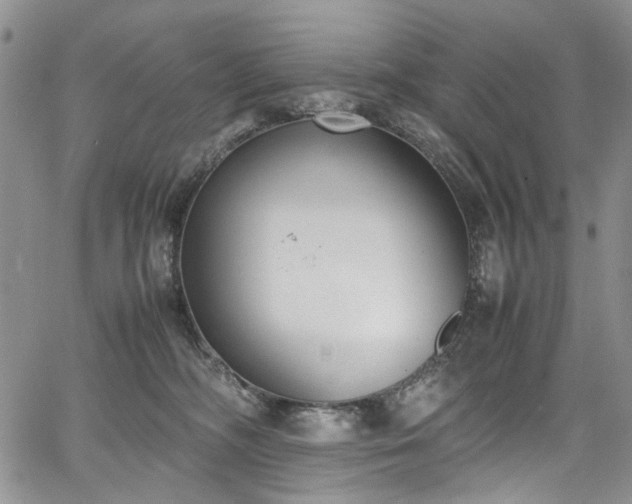 X0000067950326200604201437