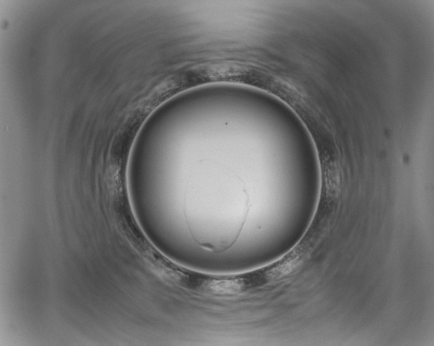 X0000067950327200604201437