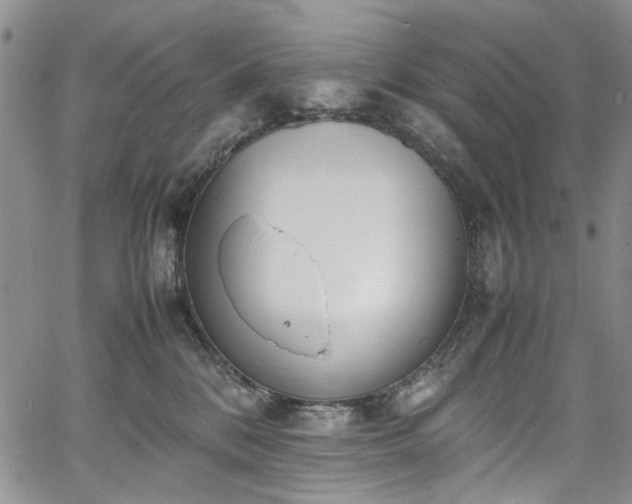 X0000067950328200604201437