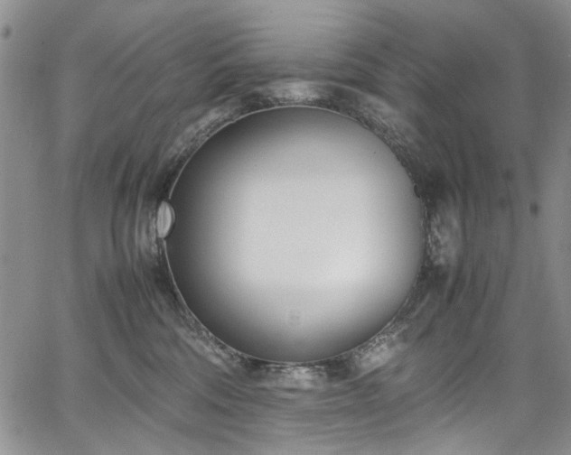 X0000067950330200604201437