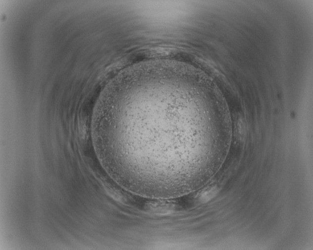 X0000067950331200604201437