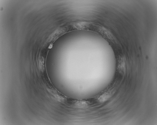 X0000067950332200604201437