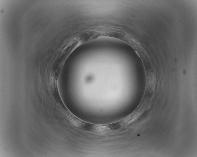 X0000067950333200604201437