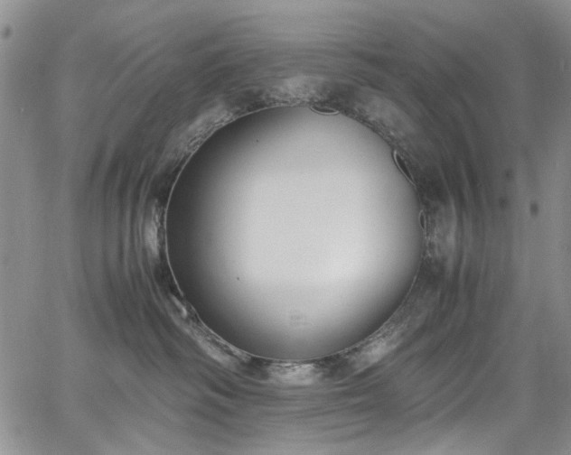 X0000067950334200604201437