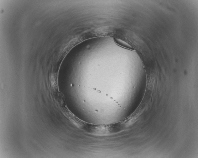 X0000067950335200604201437