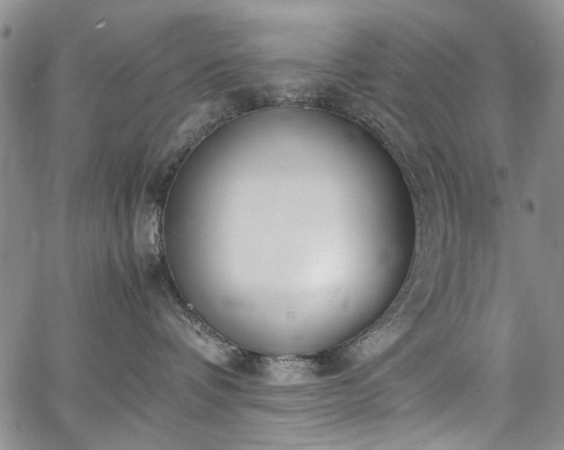 X0000067950336200604201437