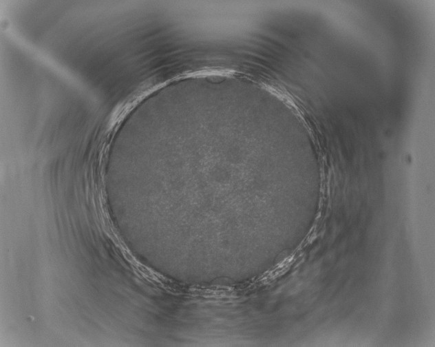 X0000067950337200604201437