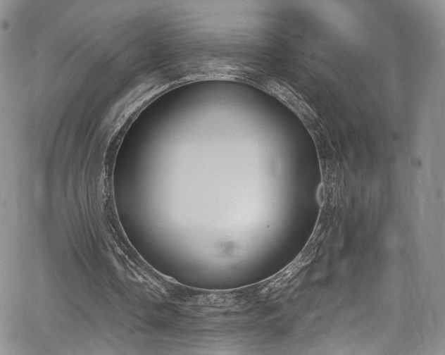 X0000067950338200604201437