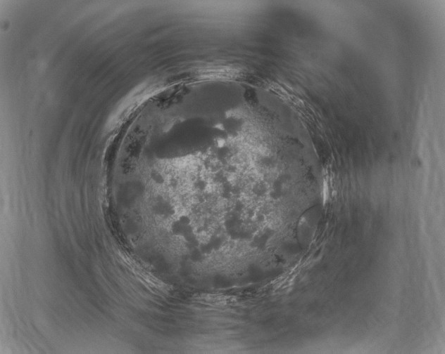 X0000067950339200604201437