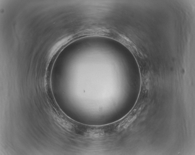 X0000067950340200604201437