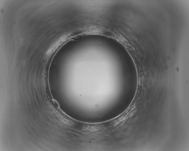 X0000067950341200604201437