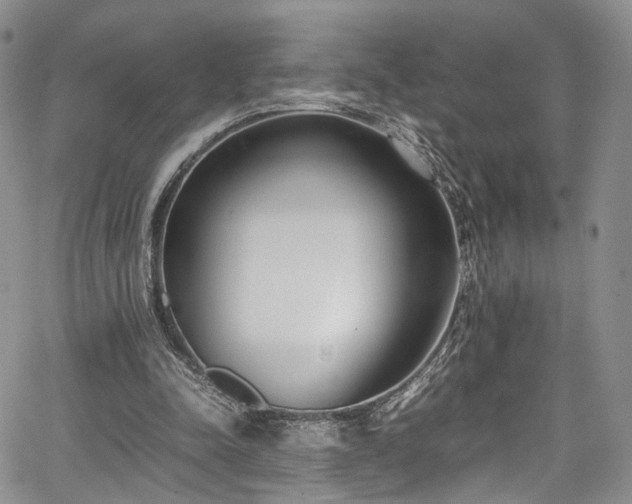 X0000067950342200604201437