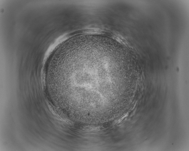 X0000067950343200604201437