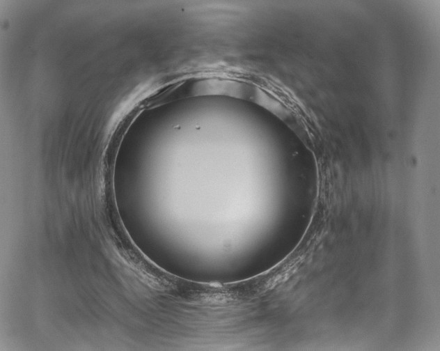 X0000067950344200604201437