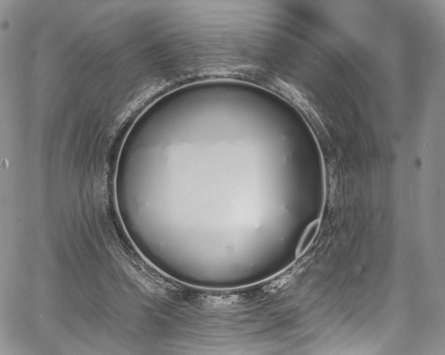 X0000067950346200604201437