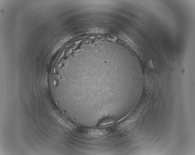 X0000067950347200604201437