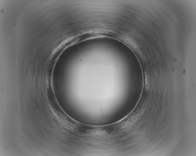 X0000067950348200604201437