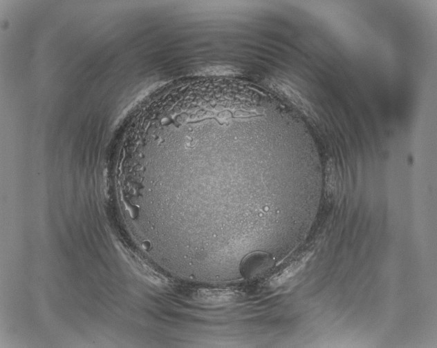 X0000067950351200604201437