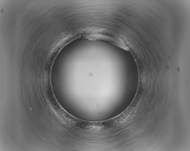 X0000067950352200604201437