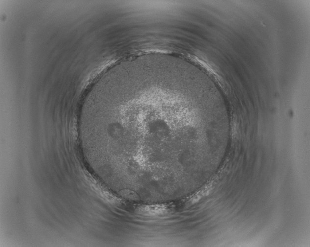 X0000067950353200604201437