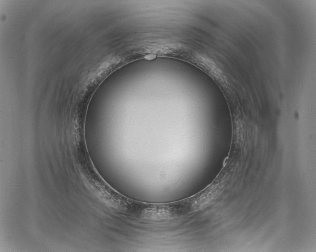 X0000067950354200604201437