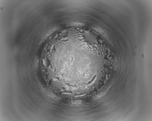 X0000067950355200604201437