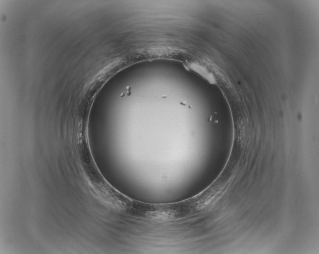 X0000067950356200604201437