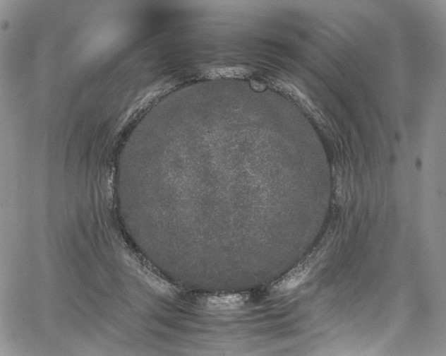 X0000067950357200604201437