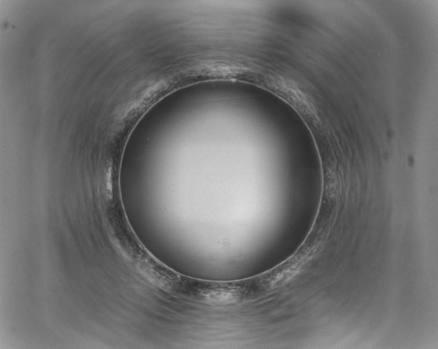 X0000067950358200604201437