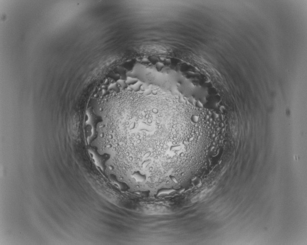 X0000067950359200604201437