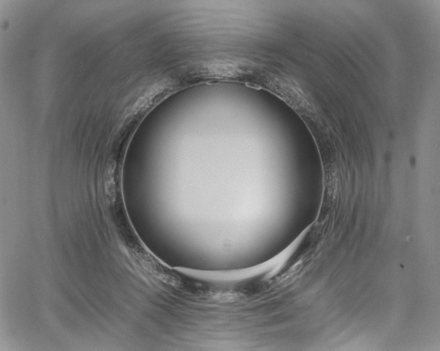 X0000067950360200604201437