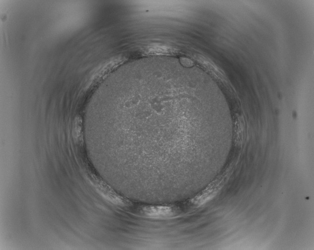 X0000067950361200604201437