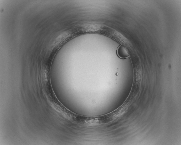 X0000067950362200604201437