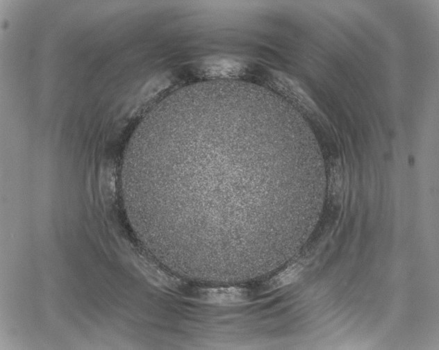 X0000067950363200604201437