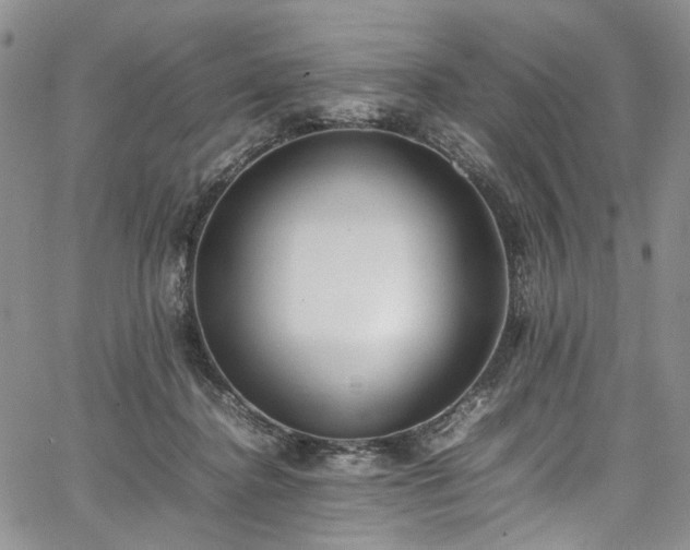 X0000067950364200604201437