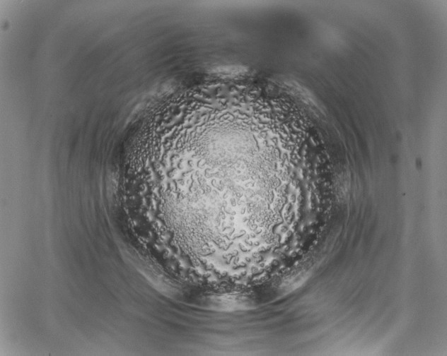 X0000067950365200604201437