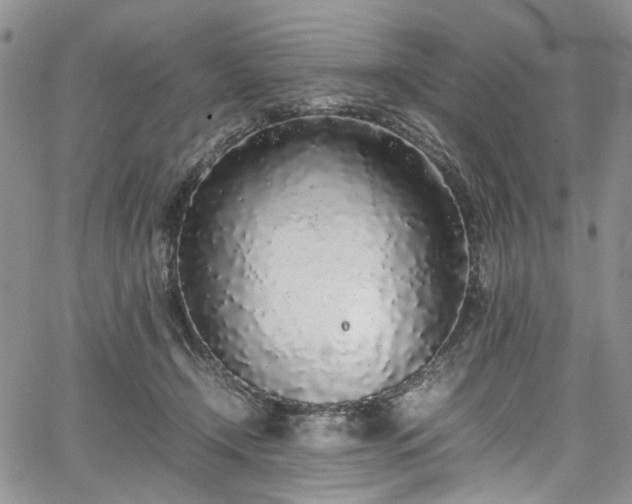 X0000067950366200604201437