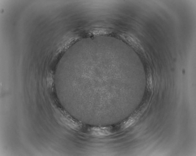 X0000067950367200604201437