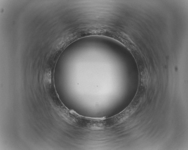 X0000067950368200604201437