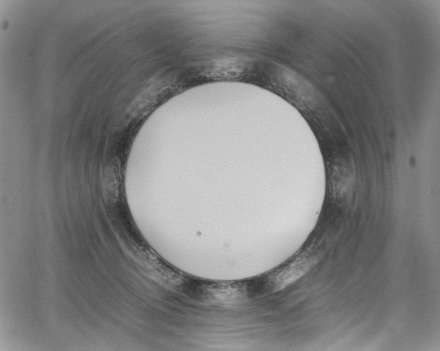 X0000067950370200604201437