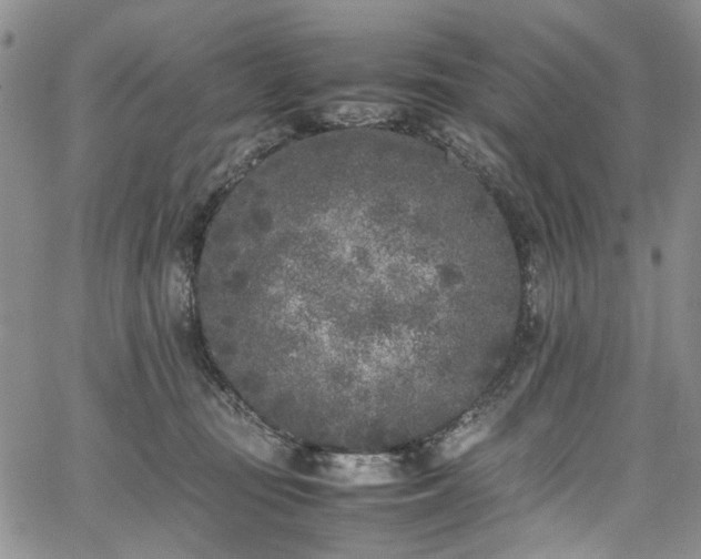 X0000067950371200604201437