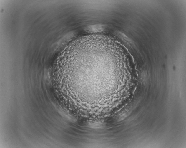 X0000067950373200604201437