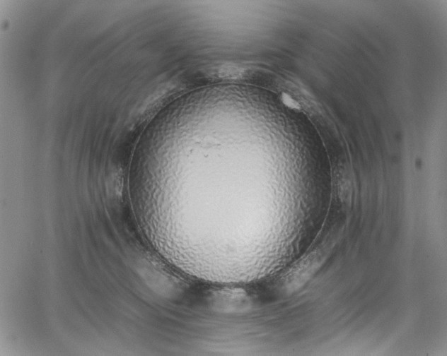 X0000067950374200604201437