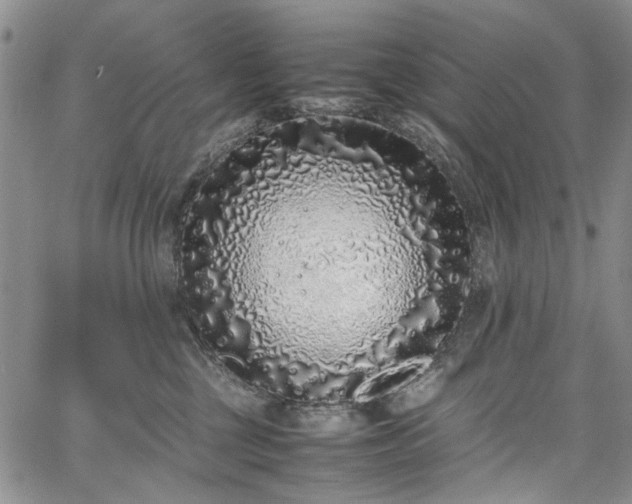 X0000067950377200604201437