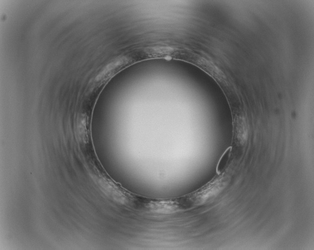 X0000067950378200604201437